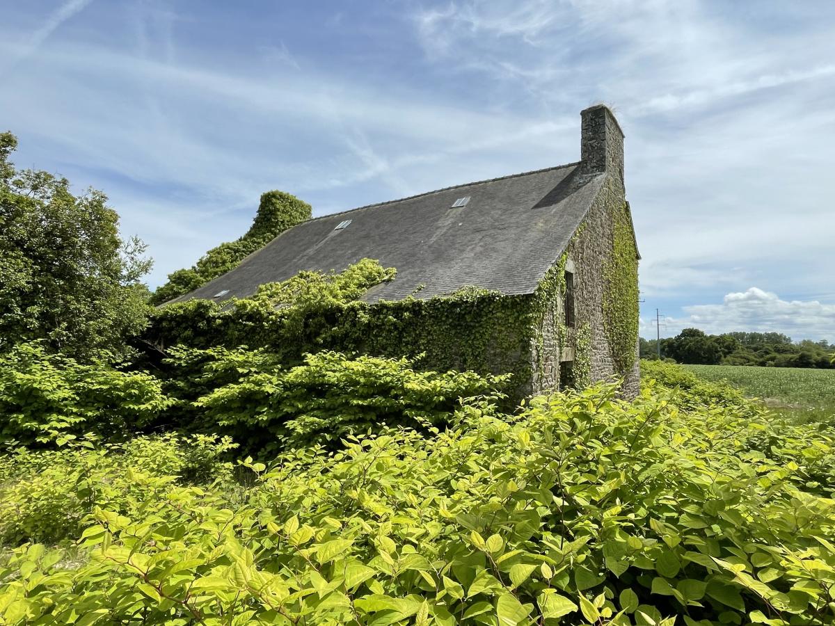 maison à Plouha
